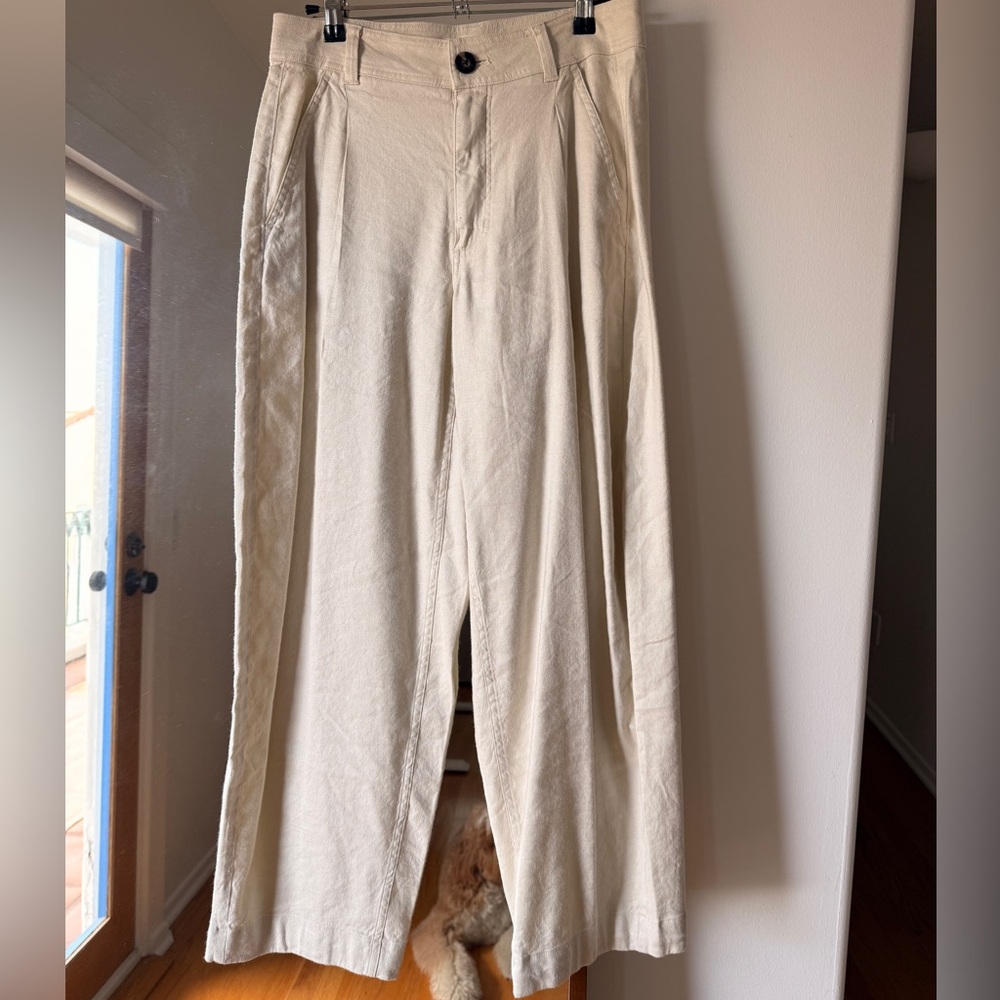 Everlane Cream Chino Pants